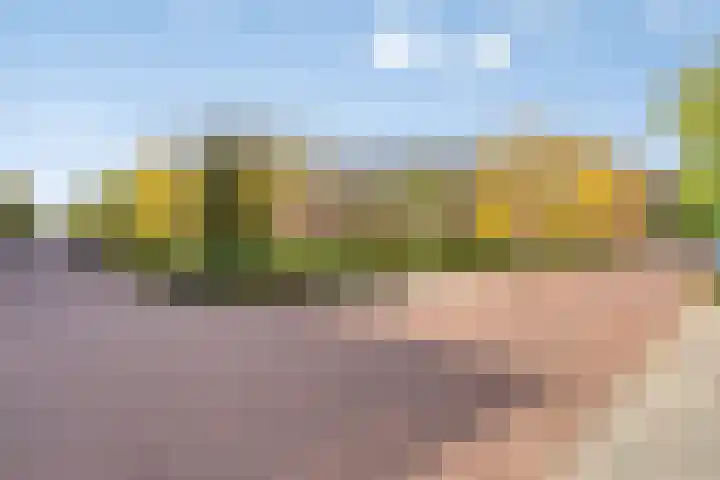 Irislaan 4 Eindhoven thumbnail 34