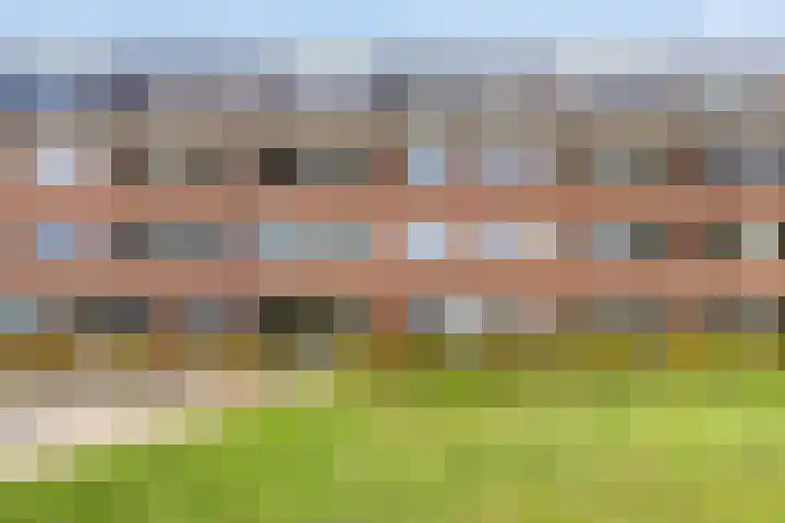 Irislaan 4 Eindhoven thumbnail 4