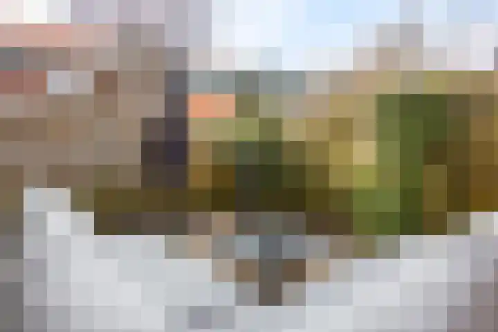 Irislaan 46 Groningen thumbnail 33