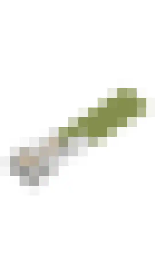 Irislaan 47 De Kwakel thumbnail 41