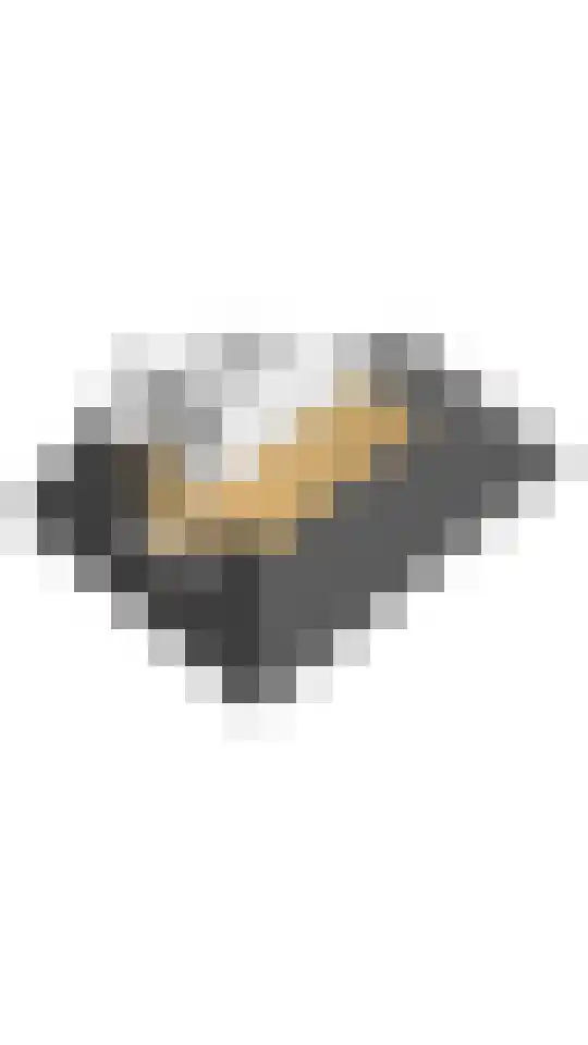 Irislaan 47 De Kwakel thumbnail 47