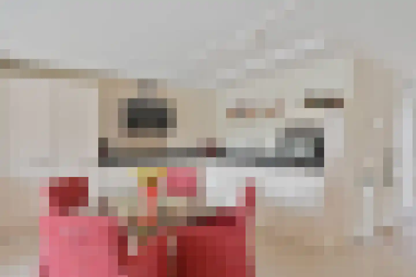 Irislaan 47 De Kwakel thumbnail 8