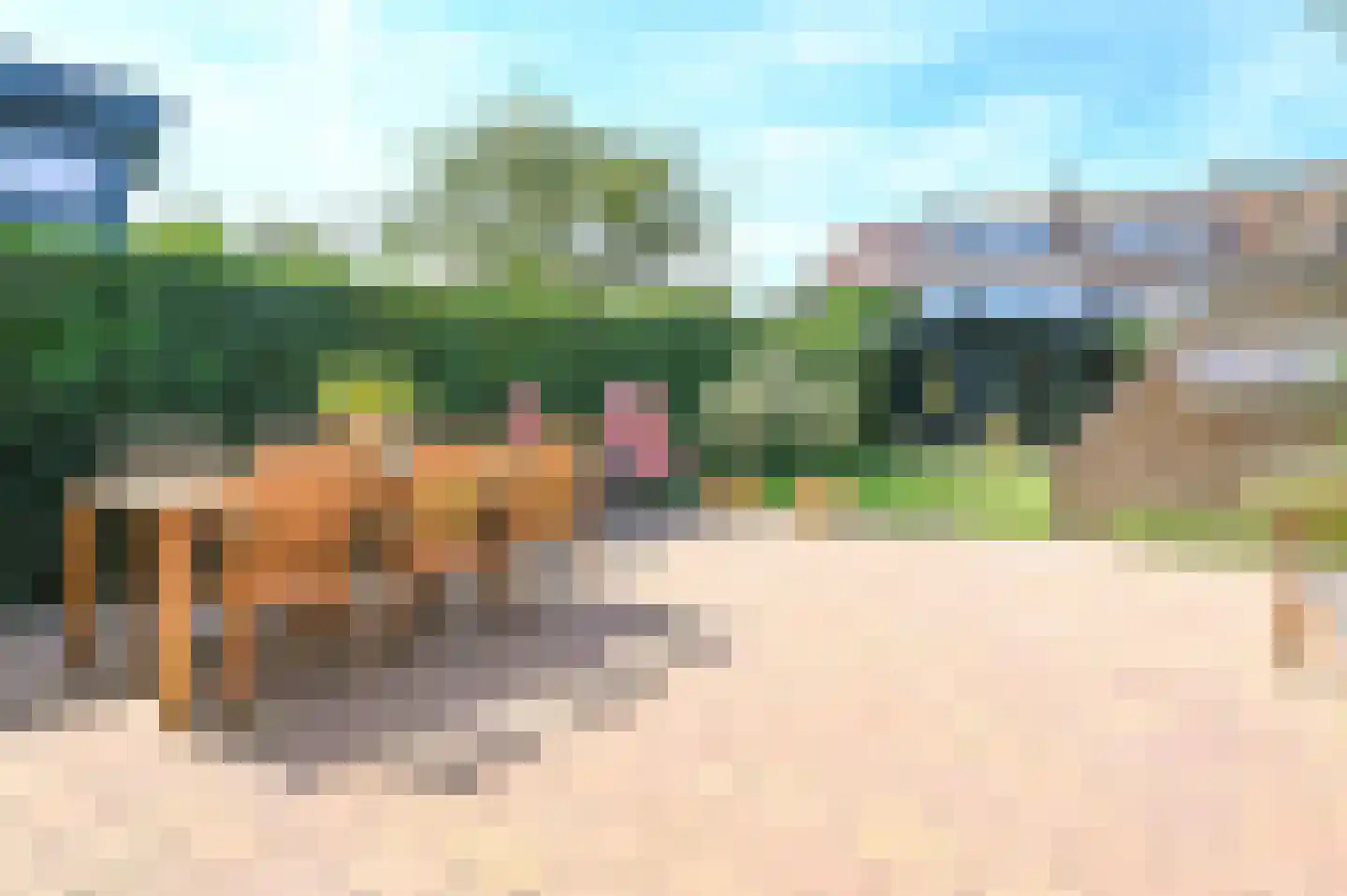 Irislaan 5 Heemstede thumbnail 28