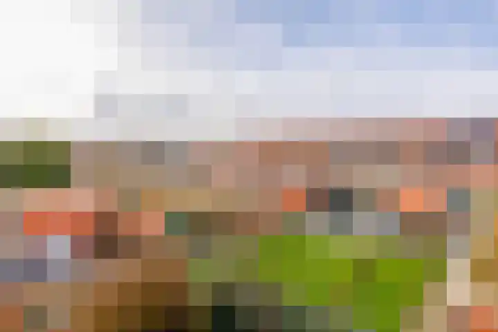 Irislaan 54 b Groningen thumbnail 30