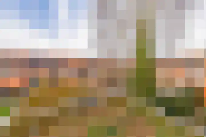 Irislaan 54 b Groningen thumbnail 32