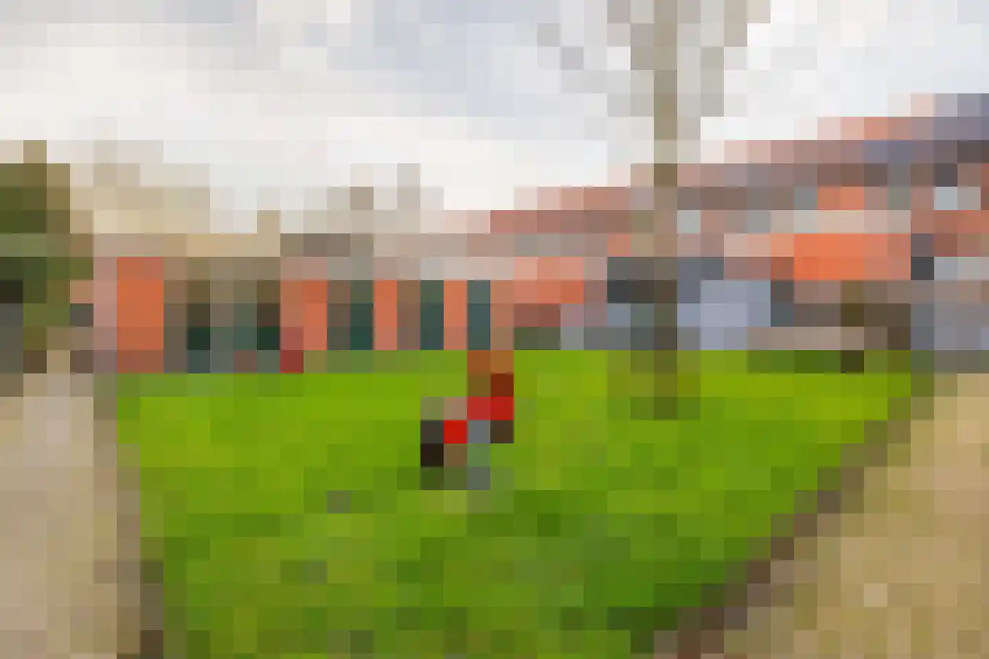 Irislaan 54 b Groningen thumbnail 33