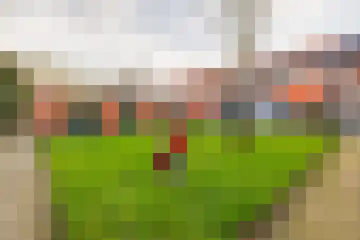 Irislaan 54 b Groningen thumbnail 33