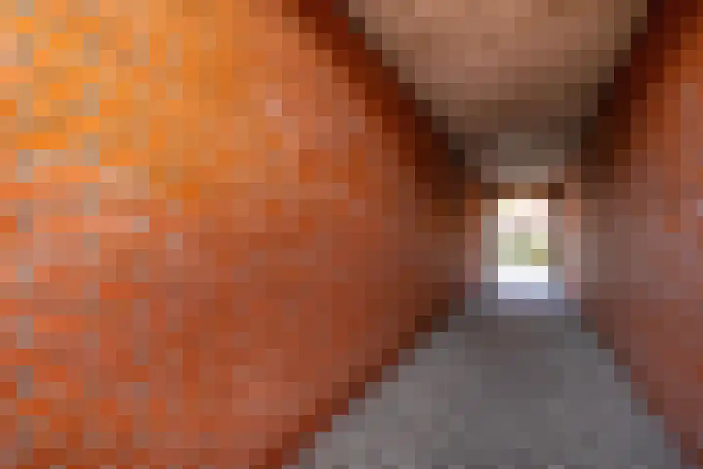 Irislaan 54 b Groningen thumbnail 36