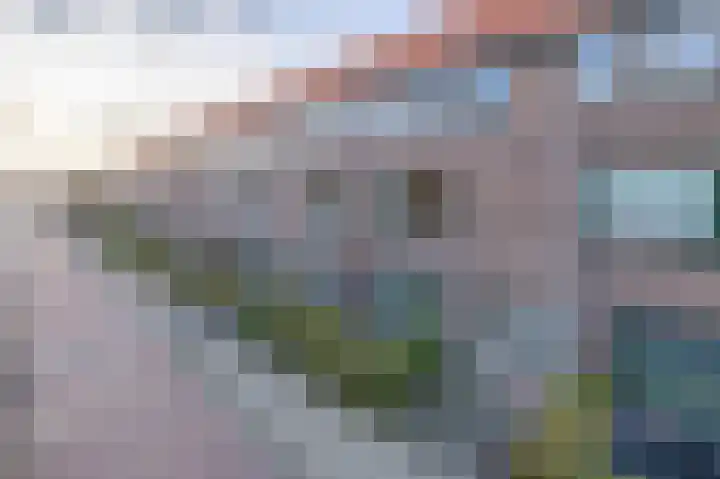 Irislaan 54 b Groningen thumbnail 38