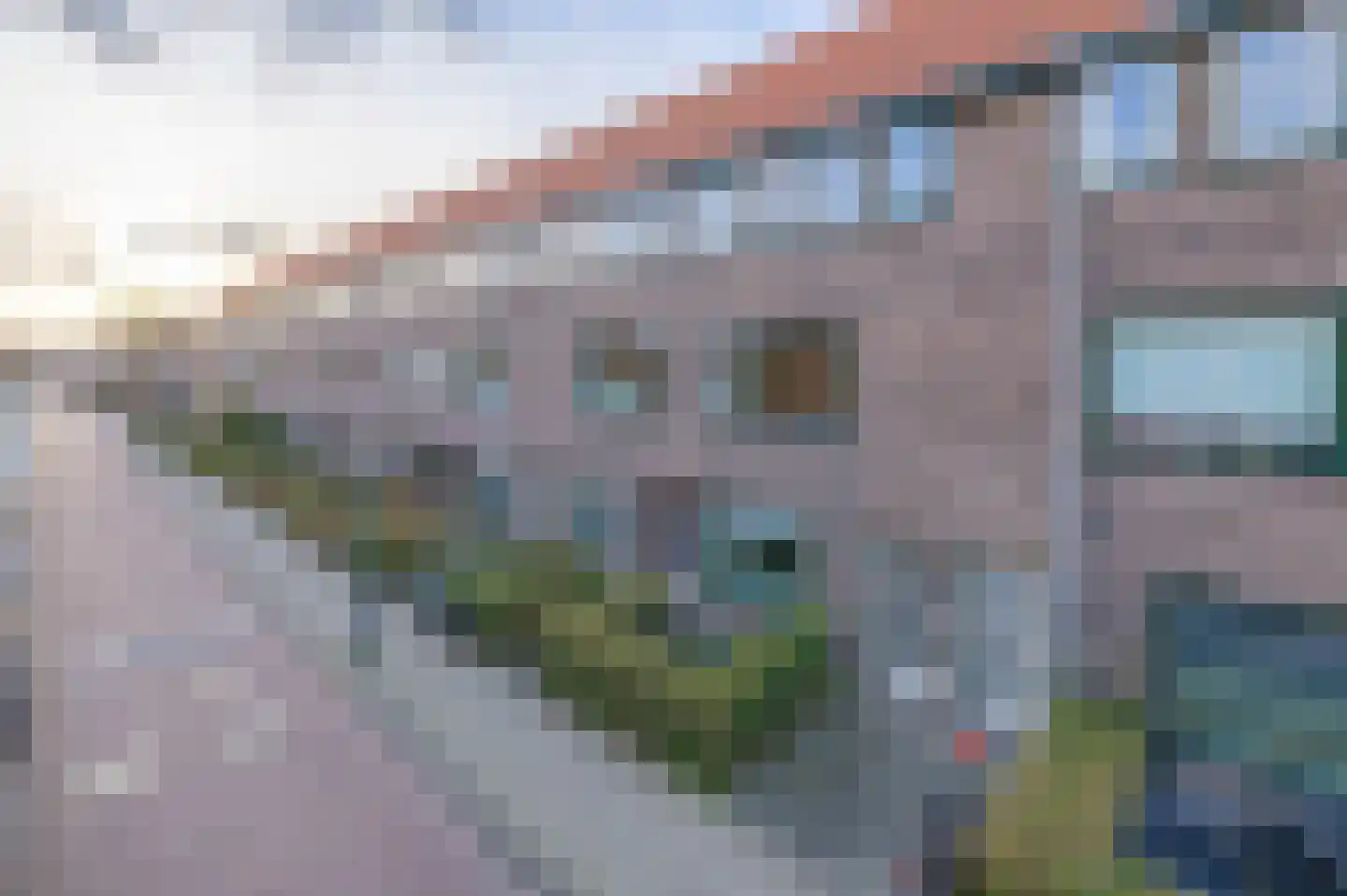 Irislaan 54 b Groningen thumbnail 38