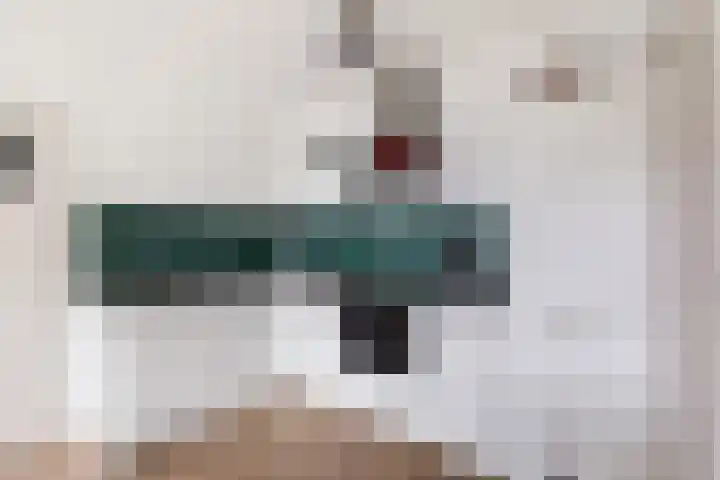 Irislaan 6 Leende