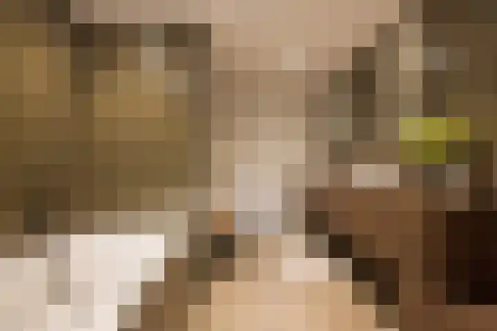 Irislaan 6 Leende thumbnail 23