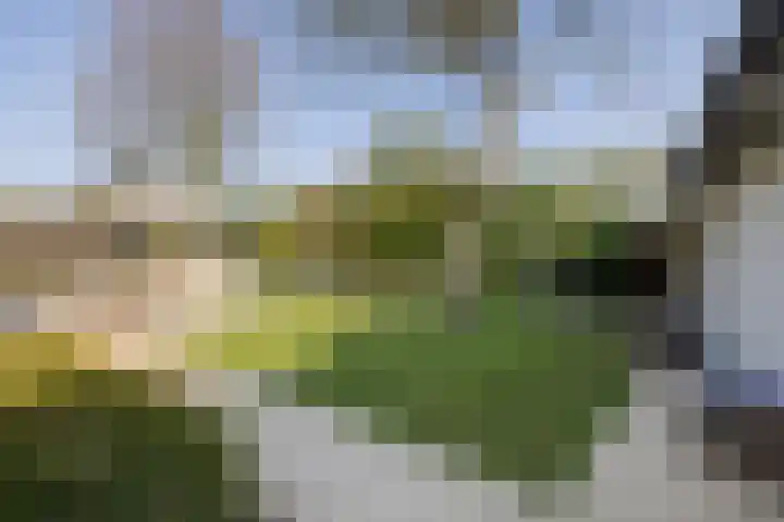Irislaan 6 Leende thumbnail 35