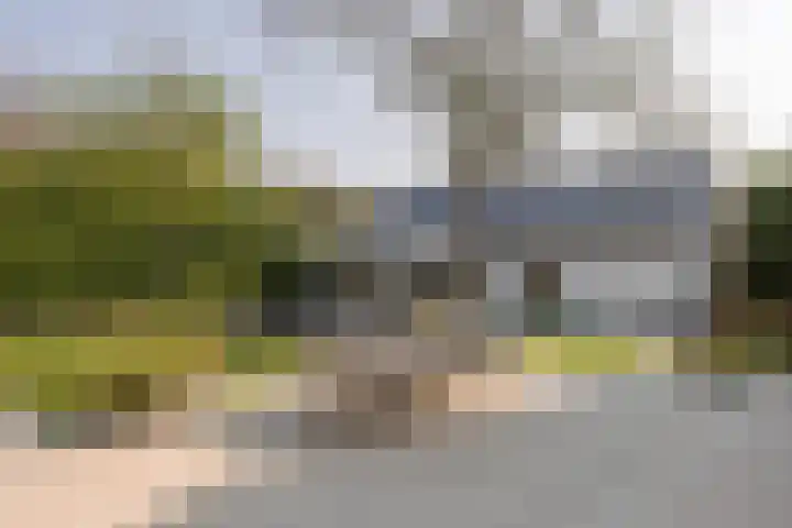 Irislaan 6 Leende thumbnail 36