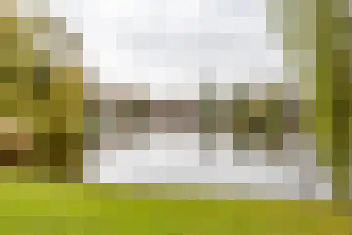 Irislaan 60 b Groningen thumbnail 26