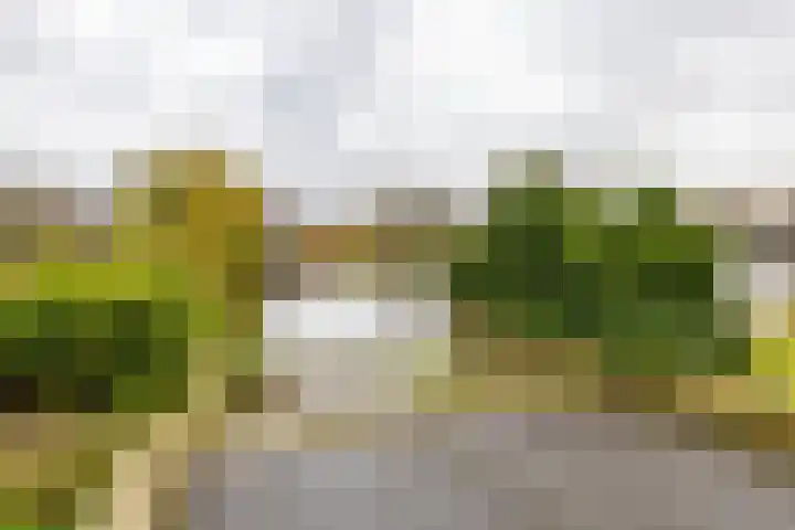 Irislaan 60 b Groningen thumbnail 27