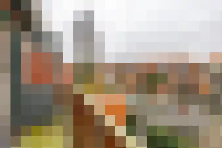Irislaan 60 b Groningen thumbnail 4