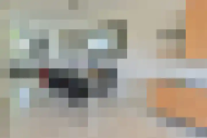 Irislaan 66 De Kwakel thumbnail 13