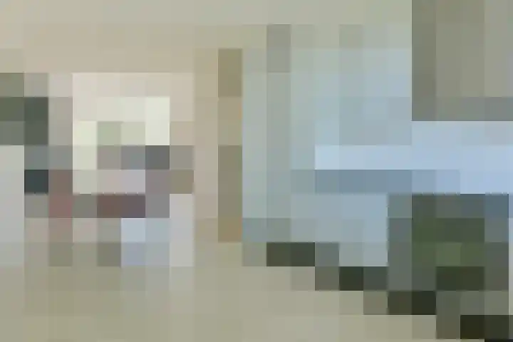 Irislaan 66 De Kwakel thumbnail 14