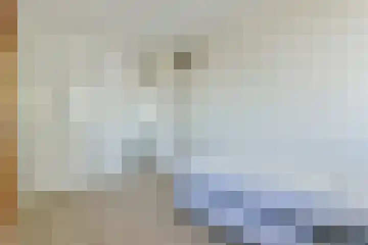 Irislaan 66 De Kwakel thumbnail 21