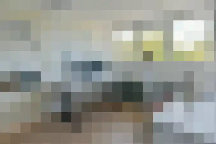 Irislaan 66 De Kwakel thumbnail 27