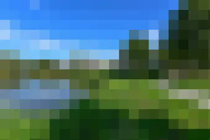 Irislaan 66 De Kwakel thumbnail 32