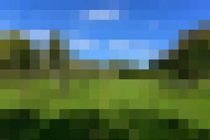 Irislaan 66 De Kwakel thumbnail 33