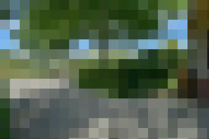 Irislaan 66 De Kwakel thumbnail 4