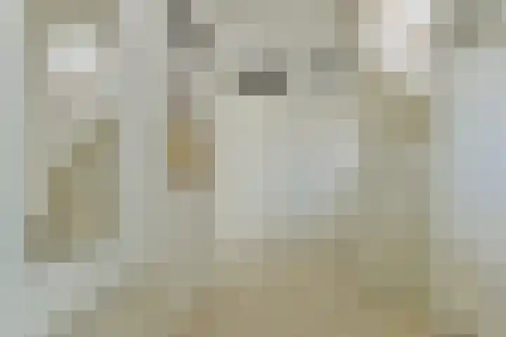 Irislaan 66 De Kwakel thumbnail 5