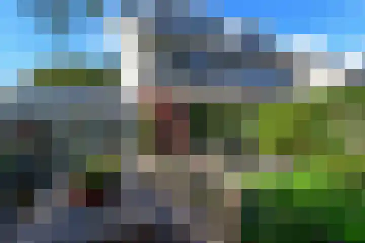 Irislaan 66 De Kwakel thumbnail 7