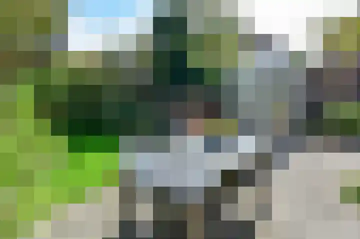 Irislaan 66 De Kwakel thumbnail 9