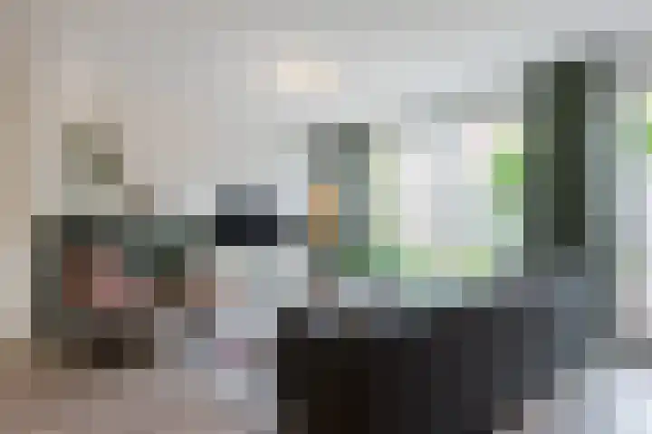 Irislaan 70 Eindhoven thumbnail 11
