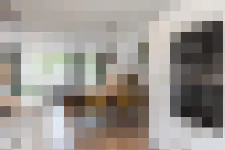Irislaan 70 Eindhoven thumbnail 19