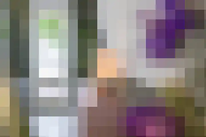 Irislaan 70 Eindhoven thumbnail 20