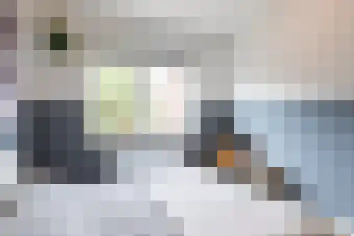 Irislaan 70 Eindhoven thumbnail 23