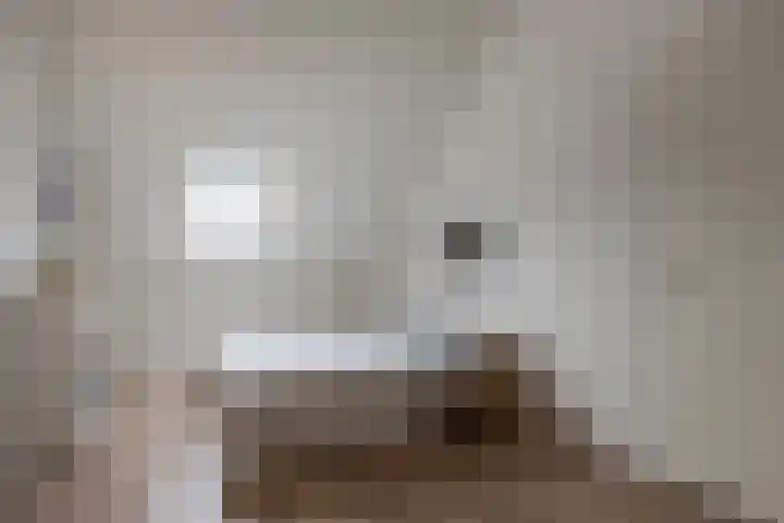 Irislaan 70 Eindhoven thumbnail 34