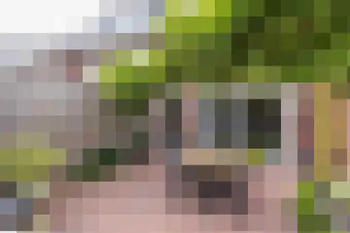 Irislaan 70 Eindhoven thumbnail 35