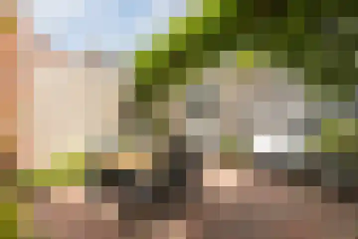 Irislaan 70 Eindhoven thumbnail 36