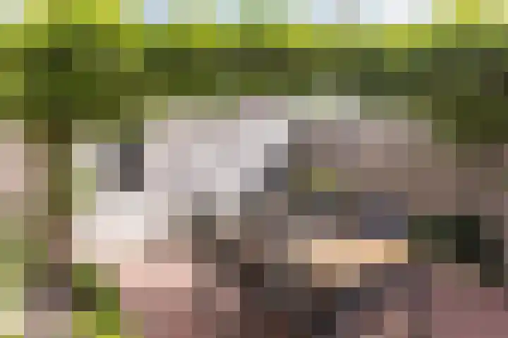 Irislaan 70 Eindhoven thumbnail 37