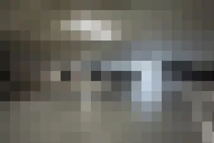 Irislaan 70 Eindhoven thumbnail 40