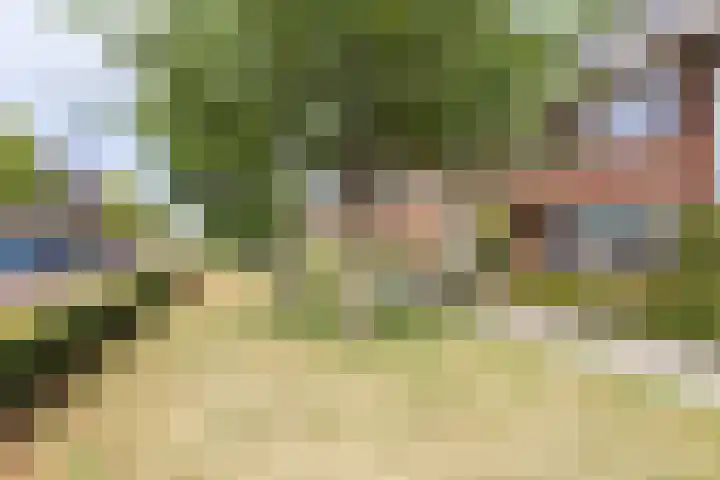 Irislaan 70 Eindhoven thumbnail 42