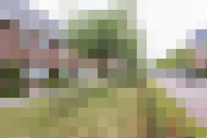 Irislaan 70 Eindhoven thumbnail 43