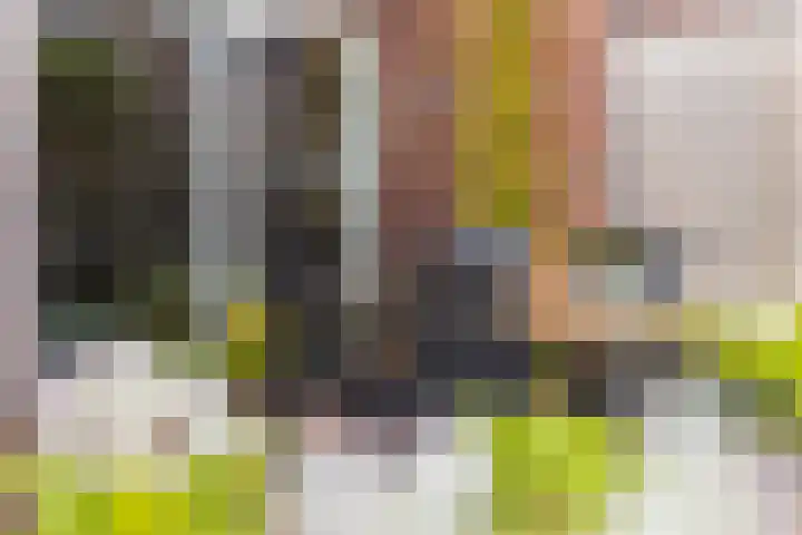 Irislaan 70 Eindhoven thumbnail 5