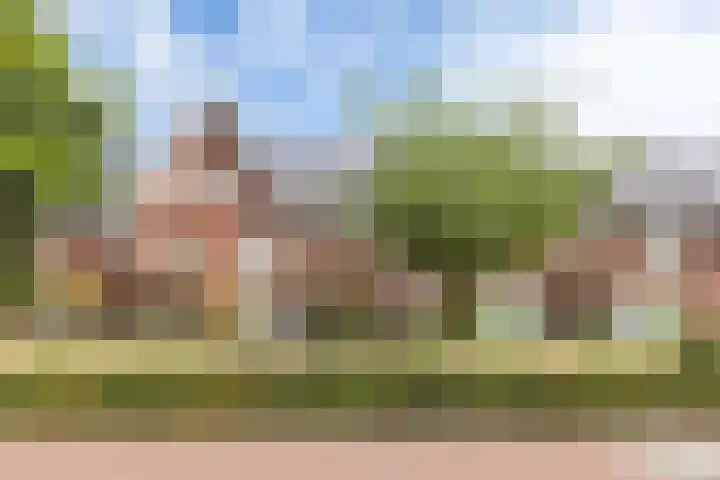 Irislaan 70 Eindhoven thumbnail 6