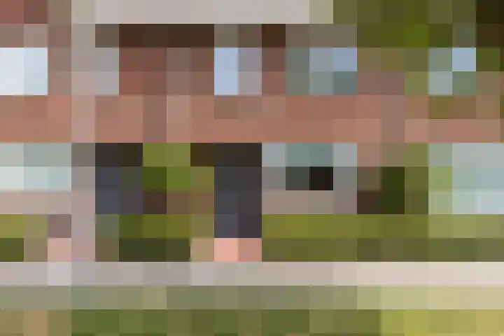 Irislaan 70 Eindhoven thumbnail 7