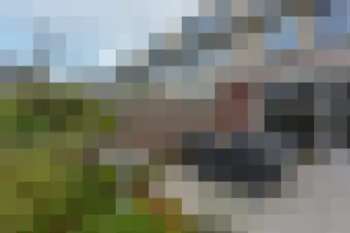 Irislaan 8 De Kwakel thumbnail 10