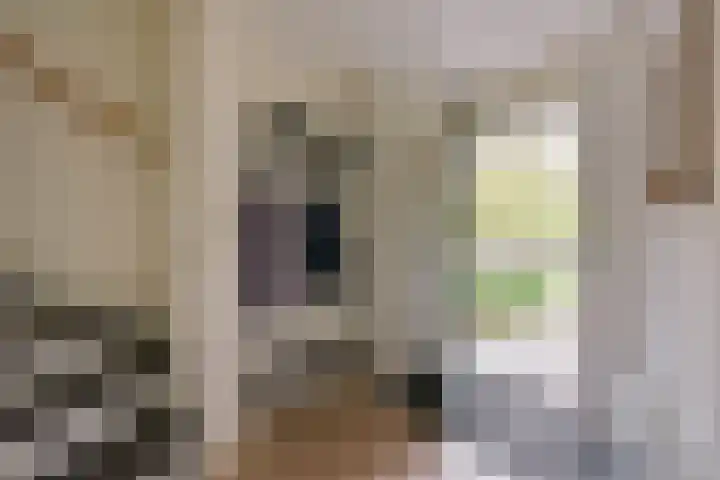Irislaan 8 De Kwakel thumbnail 11