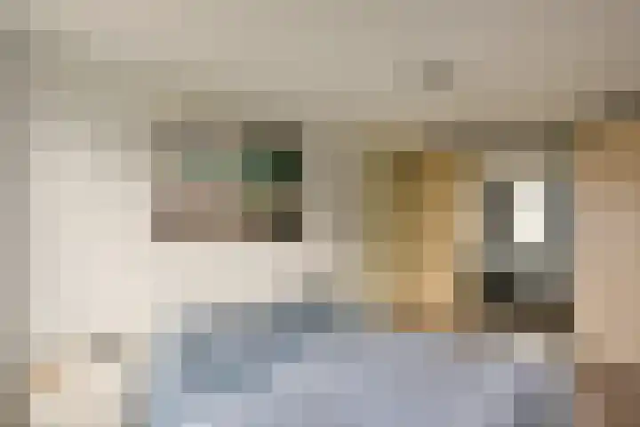 Irislaan 8 De Kwakel thumbnail 14