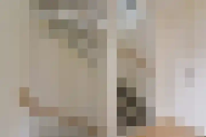 Irislaan 8 De Kwakel thumbnail 20