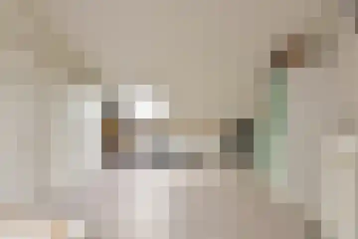 Irislaan 8 De Kwakel thumbnail 21